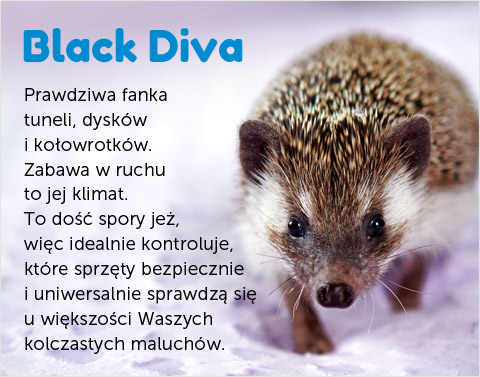 Jeż Black Diva