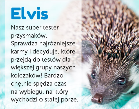 Jeż Elvis