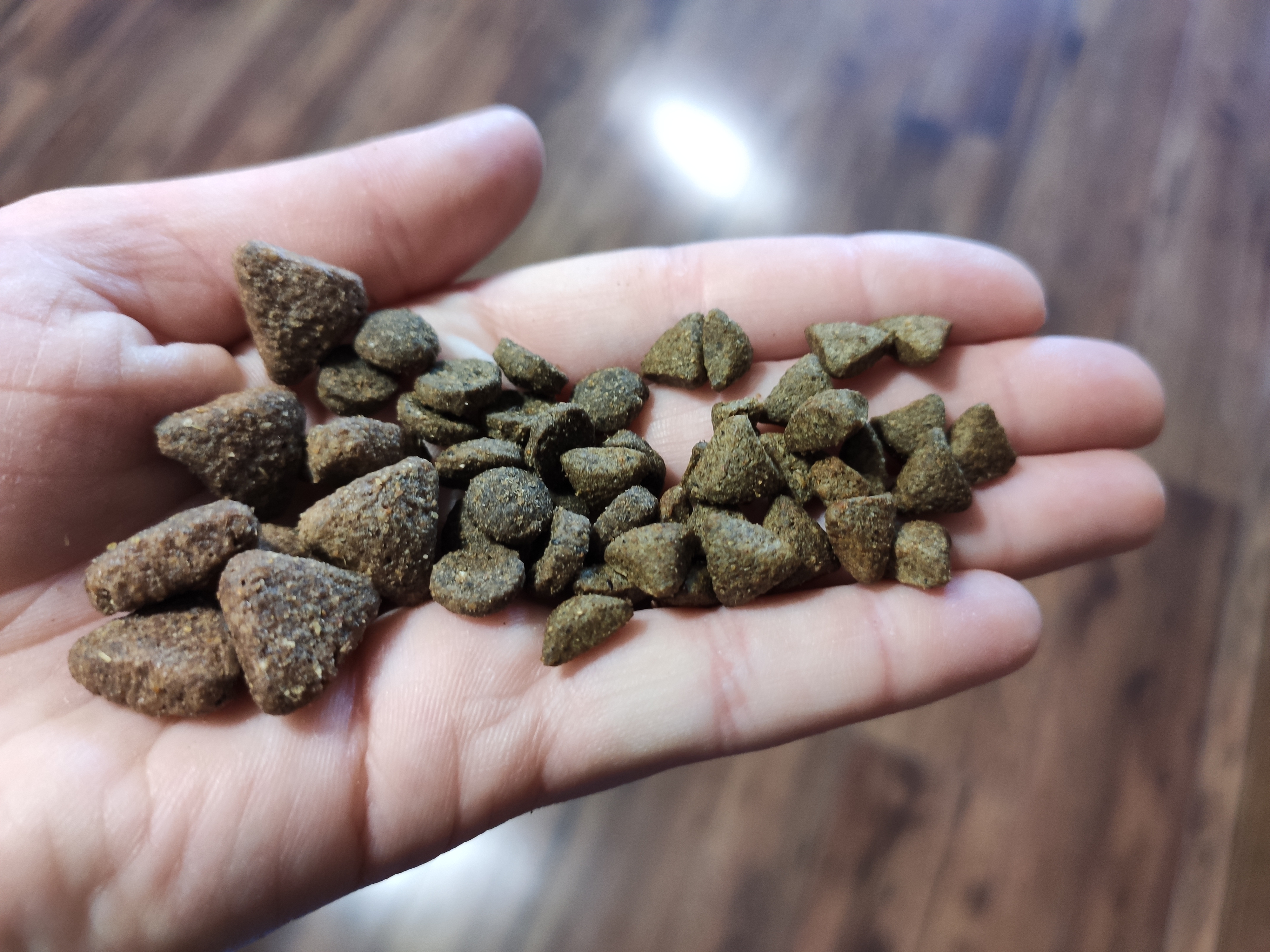 Karmy suche z owadów – analiza, opinie, i co sądzą o nich nasze jeże