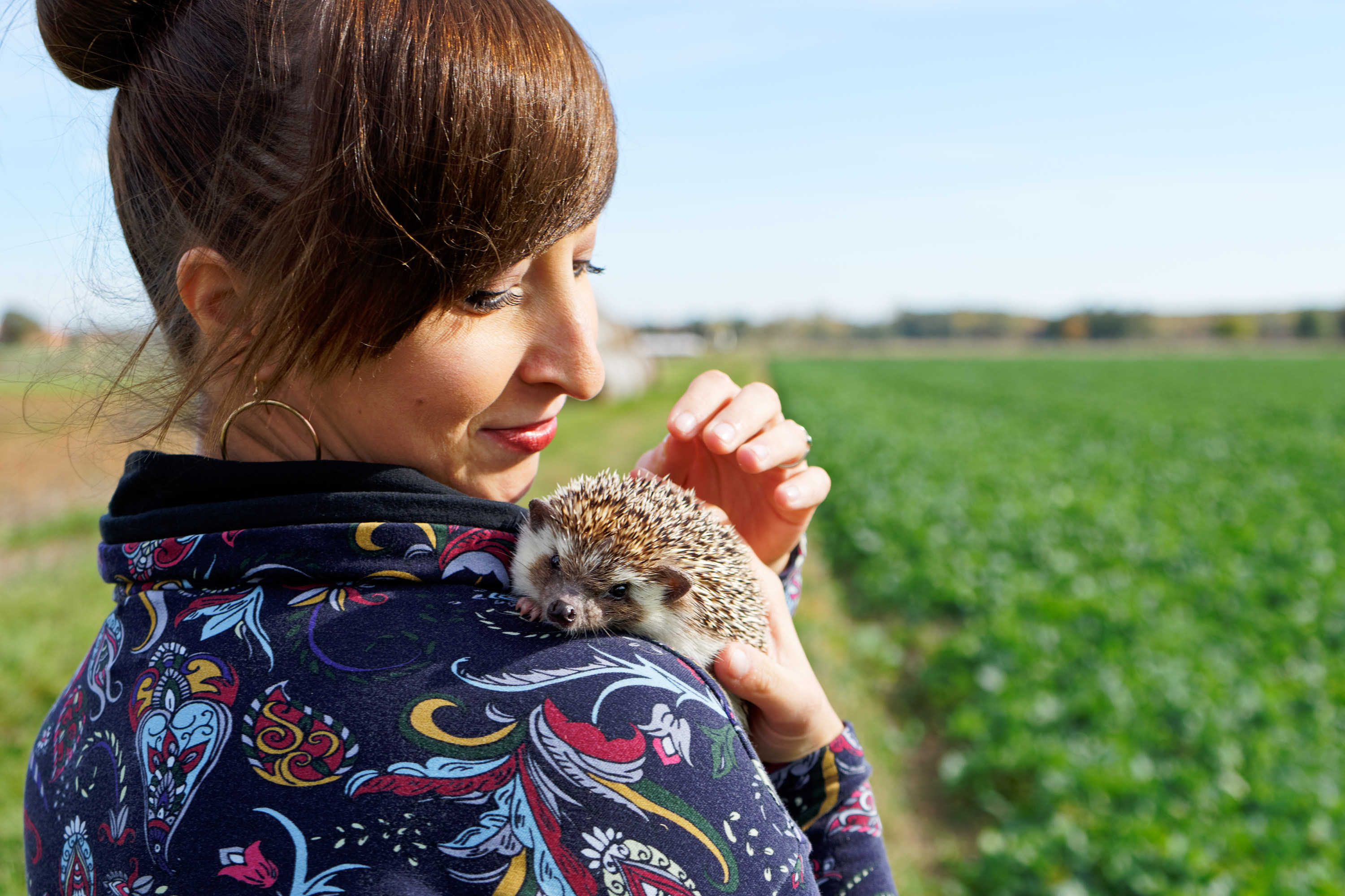 Przyjaźń człowieka i jeża pigmejskiego – niezwykła relacja z kolcami